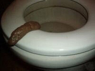 Bathroom Prank Fake Party Pooper Crap Turd - Human Poop Funny Joke Toilet Poo • 6.55$