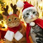Adorables costumes de Noël pour animaux de compagnie pour embellir votre maison
