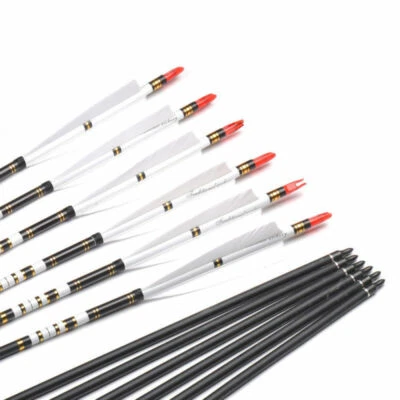6Pcs 31''Carbon Arrows SP500With Turkey Feather For Recurve Bow Archery Practice - Image 1 of 4