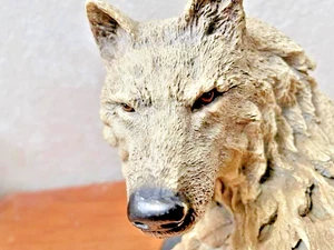 Wolf Head Bust Black Base. Resin Figurine Sculpture, Free Shipping - Picture 1 of 7