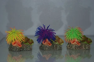 3 x base de roca de coral y anémona para acuario sobre roca de coral 8,5 x 6 x 7 cms - Imagen 1 de 4