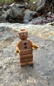 LEGO Shrek Gingerbread Man Benny Stellar Brick Exclusive Custom (all Lego) - Picture 1 of 2