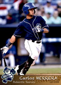 2016 Asheville Tourists Grandstand #10 Carlos Herrera Caracas Venezuela VZ Card