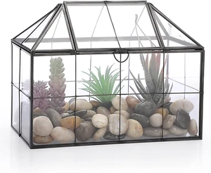 Black Glass Plant Terrarium with Square Grid, Garden Moss Container Wit - Picture 1 of 1