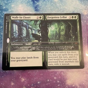 Walk-In Closet // Forgotten Cellar (REGULAR) x1 - MTG Duskmourn DSK #205 - Picture 1 of 1
