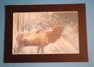 5" x 7" Matted 4" x 6" Print of Painting of a Bull Elk in Forest Area - Picture 1 of 2