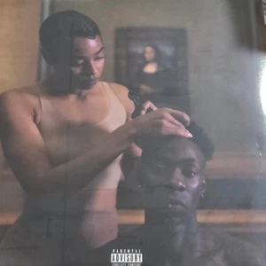 The Carters - Everything is Love Vinyl Record LP Coloured + Poster Jay Z Beyonce - Picture 1 of 3