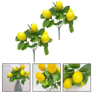 Rami di limone finti splendidamente progettati perfetti per l'arredamento centro - Foto 1 di 12