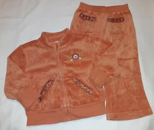 Gymboree Vintage 2007 Harvest Leaves Orange Velour 2 Pc Outfit Set Jacket Pants - Picture 1 of 8