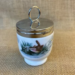 Beautiful Royal Worcester Egg Coddler in Birds - Picture 1 of 4