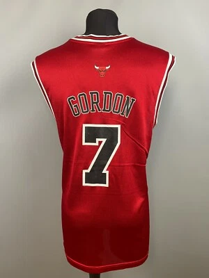BEN GORDON CHICAGO BULLS JERSEY NBA BASKETBALL REEBOK MENS SIZE L - Image 1 of 4