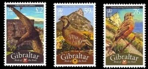 GIBRALTAR 2010 local BIRDS MNH IT'S £3.35 NOMINAL (UNDERSTAND?) - Picture 1 of 1
