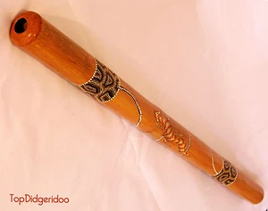 47"\120cm DIDGERIDOO Native Artwork Dot-Painted Lizards +Bag +Beeswax Mouthpiece - Picture 1 of 7