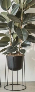 Menu WIRE Stand Medium and Metal POT, BLACK Designer Norm Architects - Picture 1 of 1