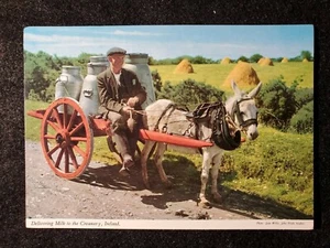 Milkman with donkey carriage Postcard - Ireland - Picture 1 of 2