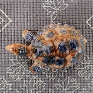 WADE Tortoise Trinket Box And Small Turtle Collectible - Picture 1 of 7