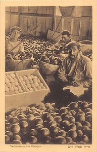 Israel - CHEDERAH - Verpackung Orangen - Publ. Bendov - Bild 1 von 2