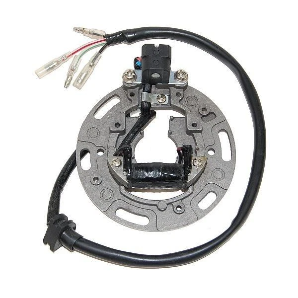 Estator Electrosport #ESC1361 se adapta a Kawasaki KX80/KX80 Big Wheel/KX100 Foto 1 de 1