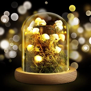 3.9 Inch Mushroom Night Light Mushroom Glass Lamp Mushroom Cozy Lights Decor Mus - Picture 1 of 6