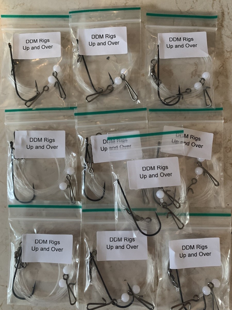 Saltwater Fishing Equipment Sand Dab Fishing Rigs - 12 Hook Glow In ...