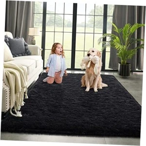 Area Rug for Bedroom Living Room Carpet Home Decor, Upgraded 4x5.9 Feet Black - Picture 1 of 7