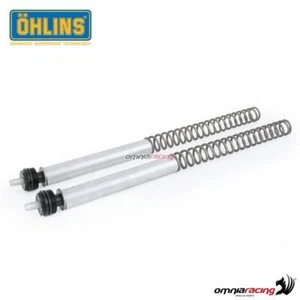 Ohlins FSK100 front fork springs kit and fork caps for Yamaha Xmax 300 2017> - Picture 1 of 3