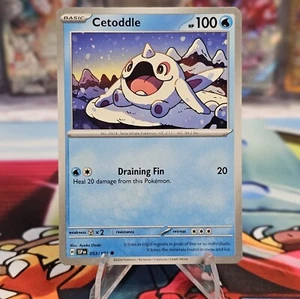 Cetoddle 053/191 - Non-Holo - Surging Sparks - Pokemon TCG - NM/M - Picture 1 of 2