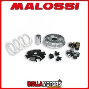 5111397 VARIADOR MALOSSI PIAGGIO BEVERLY 125 4T LC <-2009 MULTIVAR 2000 - - Imagen 1 de 5