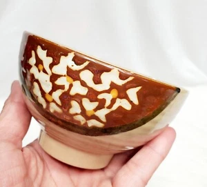 Rice Ramen Bowl Floral Metallic Fall Color Modern  Glaze Japanese Style 2.75" - Picture 1 of 8