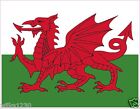 2x walisische Flagge Aufkleber Baner Cymru Wales Auto Van Laptop Drache Aufkleber