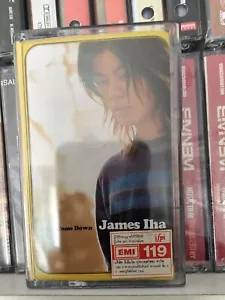 James Iha ( Smashing Pumpkins ) Let It Come Down FULLY PLAY GRADED **Ref Images - Picture 1 of 14