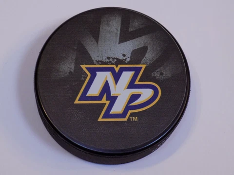 Nashville Predators NP Hockey Puck Vintage NHL Official InGlasCo Limited Edition Cover