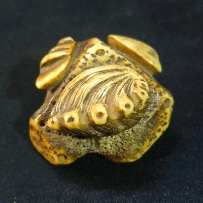 Coquillages anciens japonais en netsuke sur bois de roche période Edo... - Photo 1/4