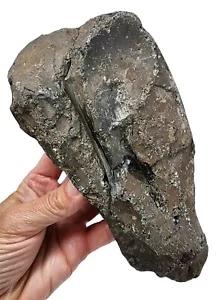 Obsidian Natural Tool Oregon 1 lb 10,5 oz. - Imagen 1 de 3