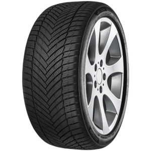 MINERVA Ganzjahresreifen 235/35 R 20 XL TL 92Y AS MASTER BSW M+S 3PMSF  - Bild 1 von 3