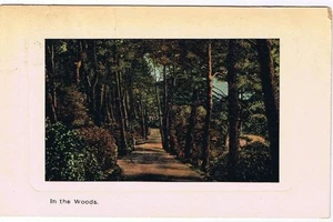 VINTAGE Imprinted Older Canadian In The Woods Postcard - Bild 1 von 2