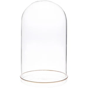 Plymor 5.5" x 10" Glass Display Dome Cloche (Gold Rim Glass Tray Base) - Picture 1 of 3