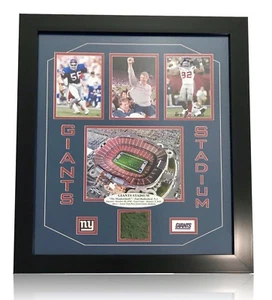 NY "Giants Stadium" gioco autentico usato erba incorniciata collage COA foto New York - Foto 1 di 6