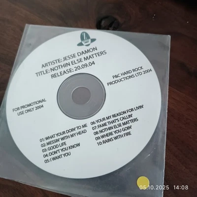 Jesse Damon – Nothin' Else Matters - plastic sleeve, CD, wie sehr gut - Bild 1 von 2