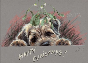 Biglietto natalizio Border Terrier confezione da 10 'Happy Christmas' di Paul Doyle C443x - Foto 1 di 2
