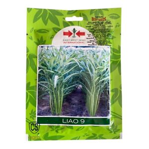 Water Spinach Fresh Seeds kang Kong Xin IPOMEA AQUATICA Water morning glory 20g