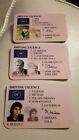 Novelty Character Driving Licences Del Boy Simpsons Harry Potter, Wayne Rooney