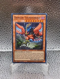 Yugioh! LP Danger! Thunderbird! - SR13-EN019 - Common - 1st Edition Lightly Play - Picture 1 of 4