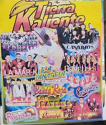 Usb Con Musica Tierrra Kaliente