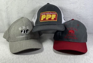 Lote De 3 Gorras Agrícolas Sombreros D.B.S. Productos básicos PPF ginebra cooperativa algodón vaca - Imagen 1 de 11