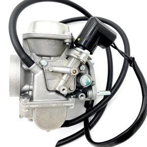 For Fits Trail Master 300 Trailmaster XinYang 300cc Trail 250 UTV Y28V5B Carb - Imagen 1 de 7