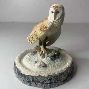 The Magnificent Owl George McMonigle pintado a mano edición limitada - Imagen 1 de 5