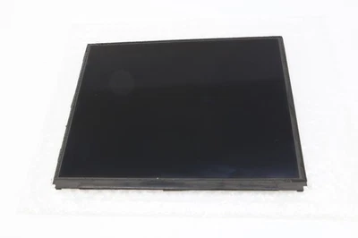 Apple iPad 2 WiFi A1395 Original 9.7" Pantalla LCD LP097X02-SLQ2 Repuesto Foto 1 de 4