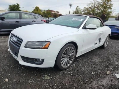 Seat Belt Front Convertible Bucket Seat Driver Fits 10-17 AUDI A5 2064448 Foto 1 de 4