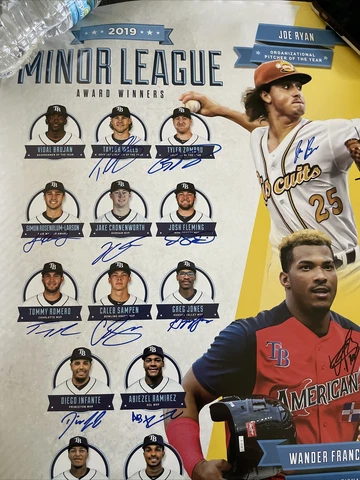Tampa Bay Rays Minor League Signed Poster 14 Autographs Cover